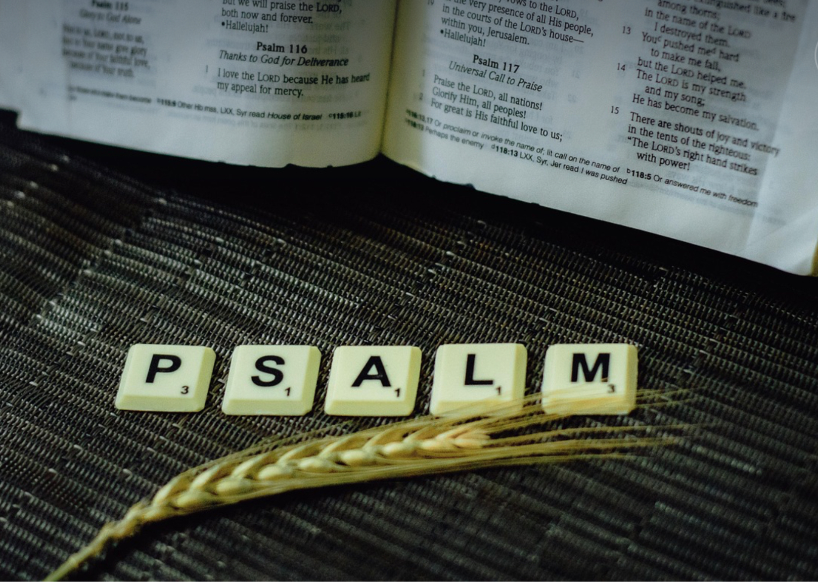 Afbeelding met de letters P, S, A, L, M van het spel scrabble.